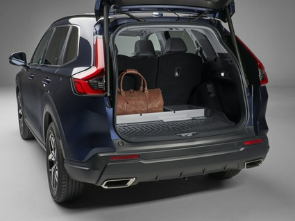 Килимок багажного відділення гумовий з органайзером (41556)